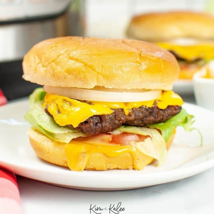 Instant Pot Hamburger with Cheese