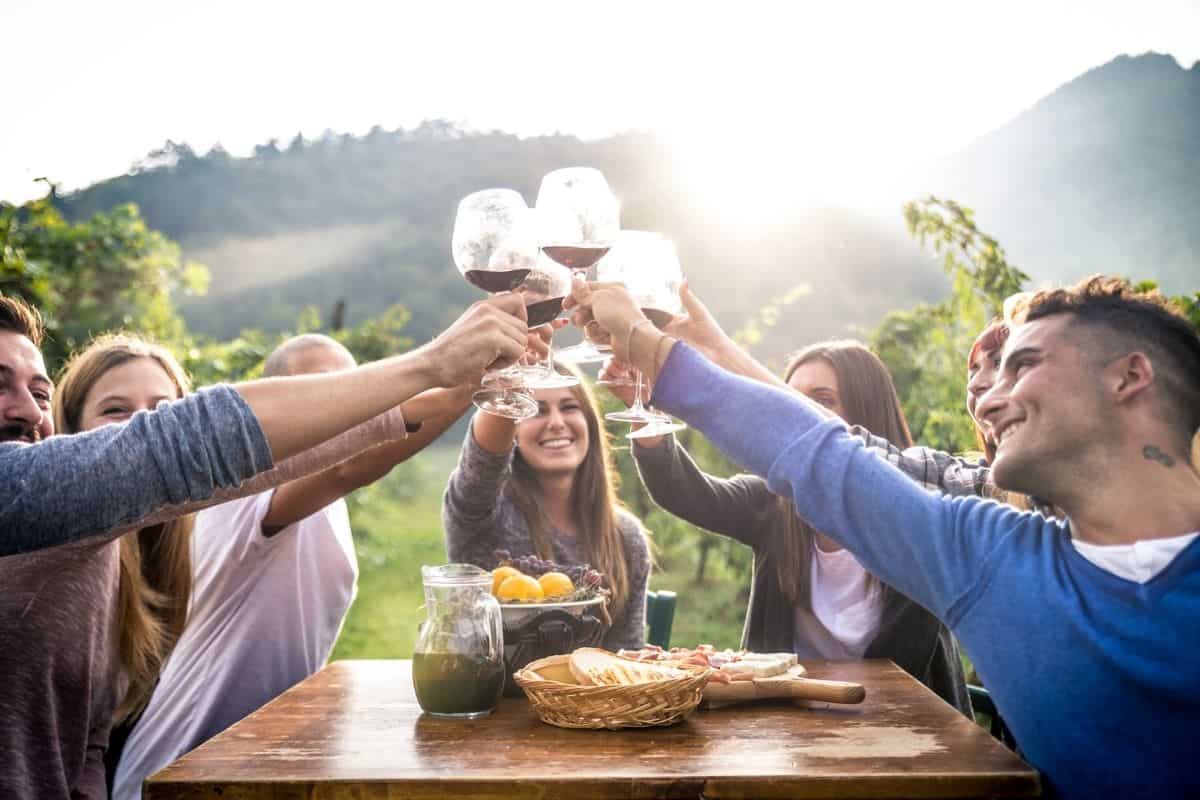 friends making a toast together outside at a picnic