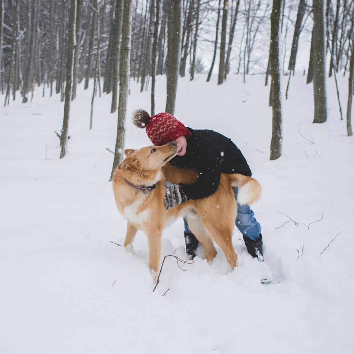 kid in the snow with her dog