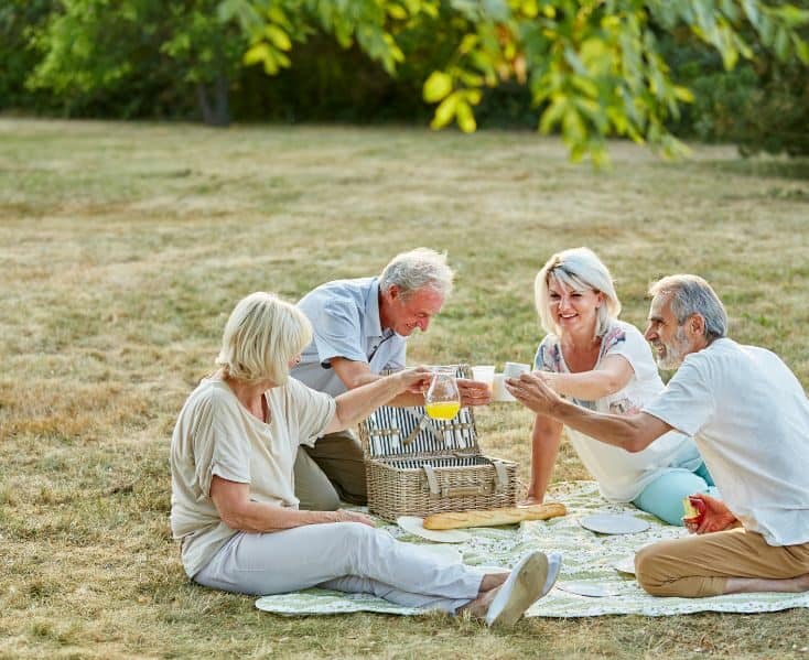 a group of 70 year olds celebrating a birthday in a park with a picnic