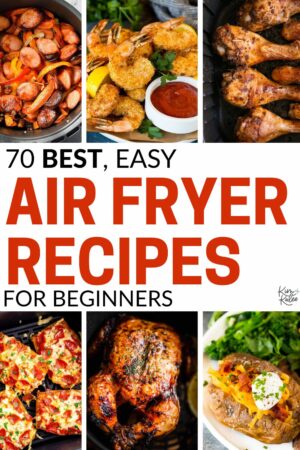 70+ Best & Easy Air Fryer Recipes For Beginners