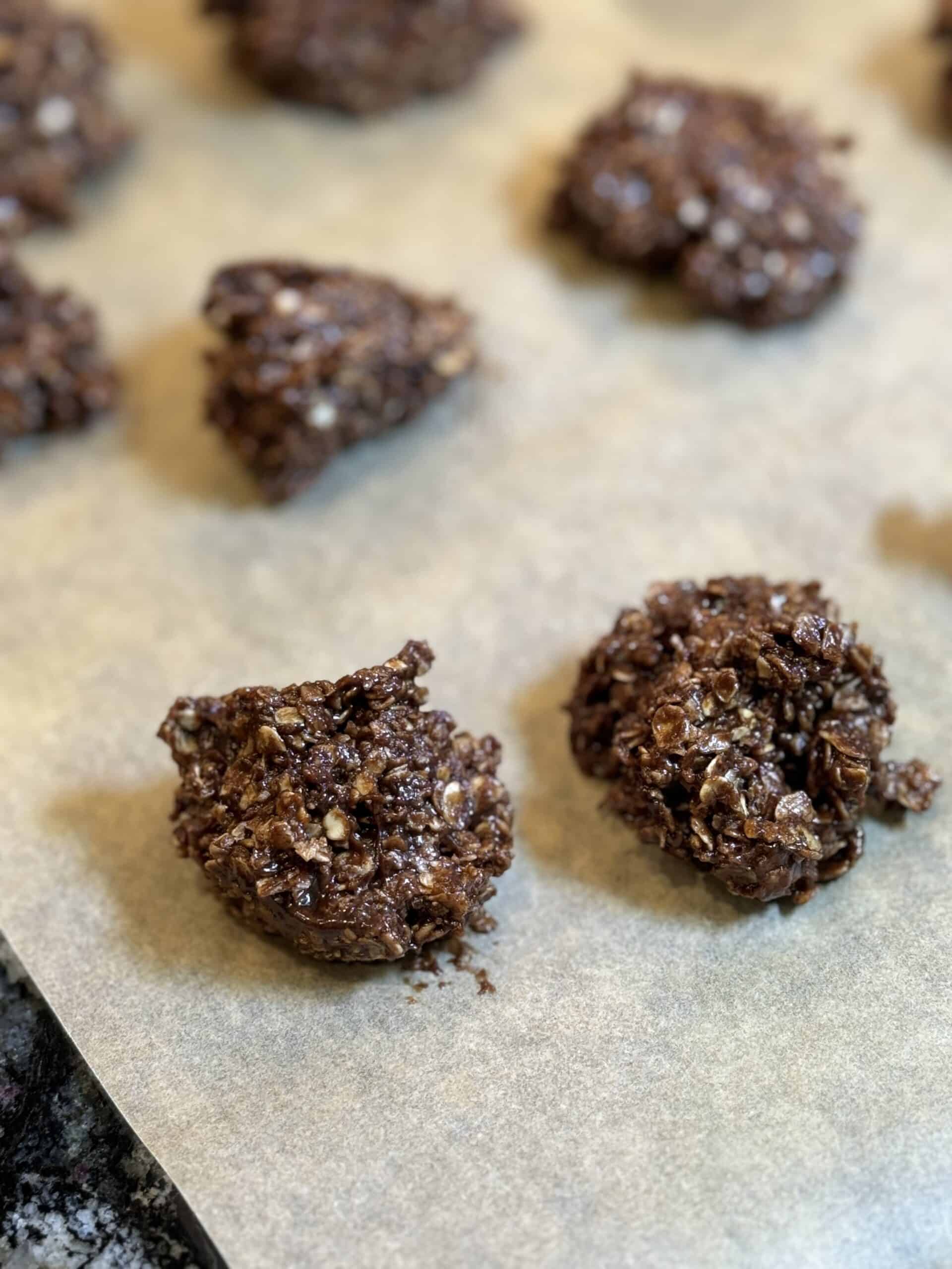 Chocolate Oatmeal Protein Cookies