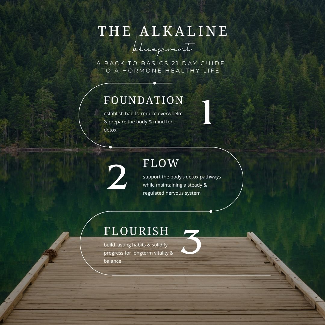 3 stages in hugh and grace alkaline blueprint